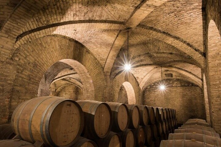 Private San Antonio, Visit Carolina Winery & Transfer to Hotel - Photo 1 of 10